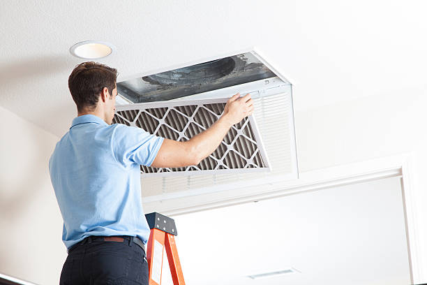 Best Air Filters and Purifiers in Amherst, WI